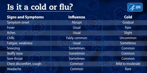 flu symptoms december 2022